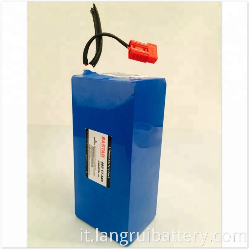New Style 48V Lithium Ion Battery